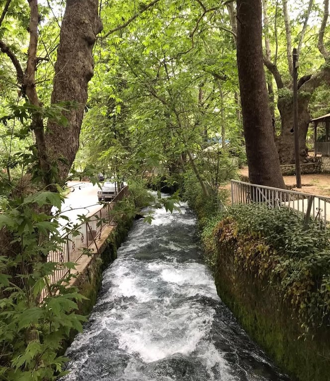 Zeyve Parkı