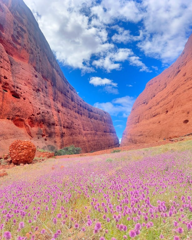 Kata Tjuta