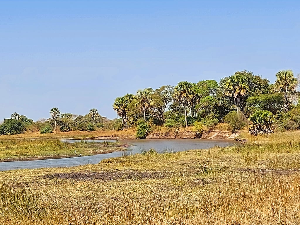 Katavi National Park