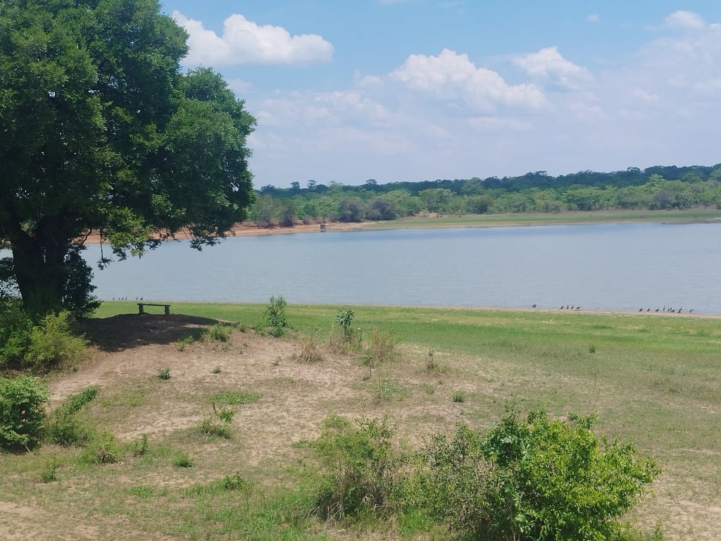 Kasungu National Park