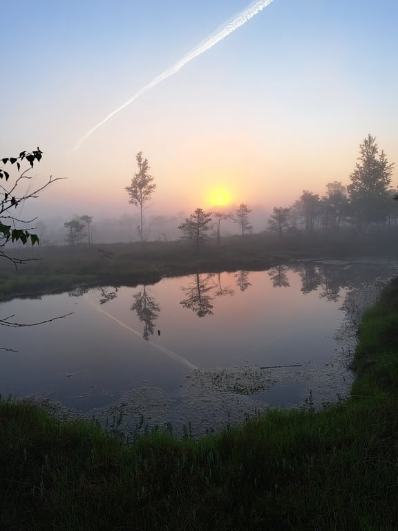 Ķemeri Bog Boardwalk