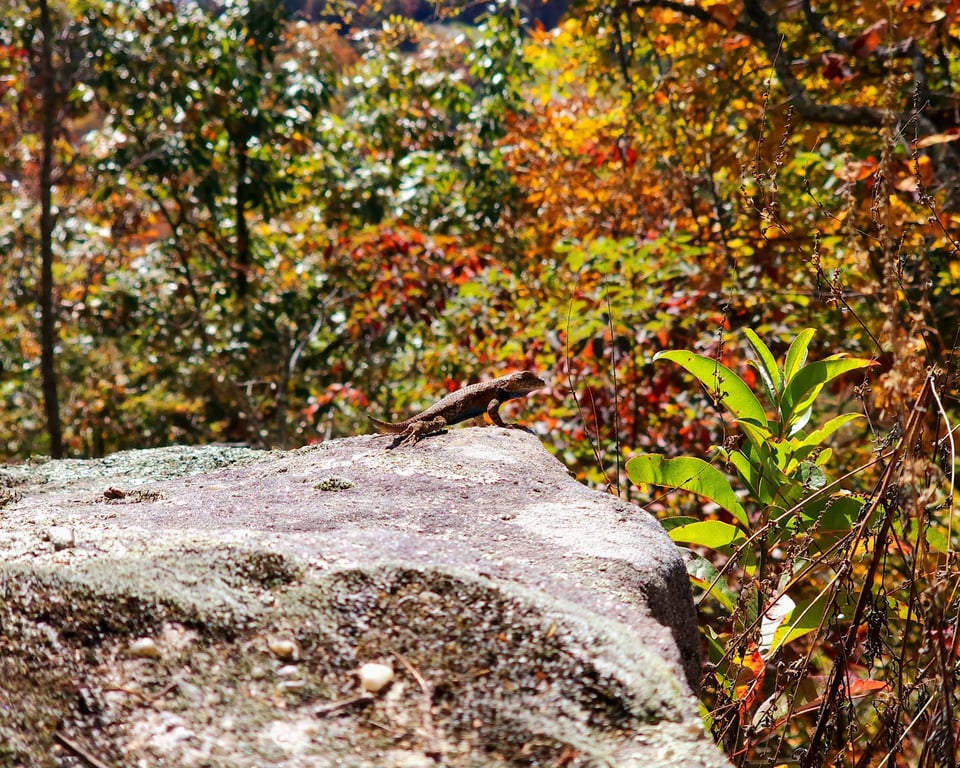 Berea Pinnacles