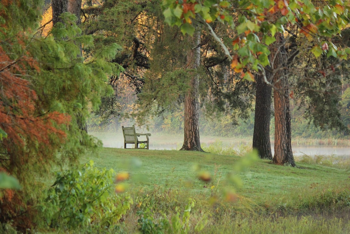 Bernheim Arboretum and Research Forest