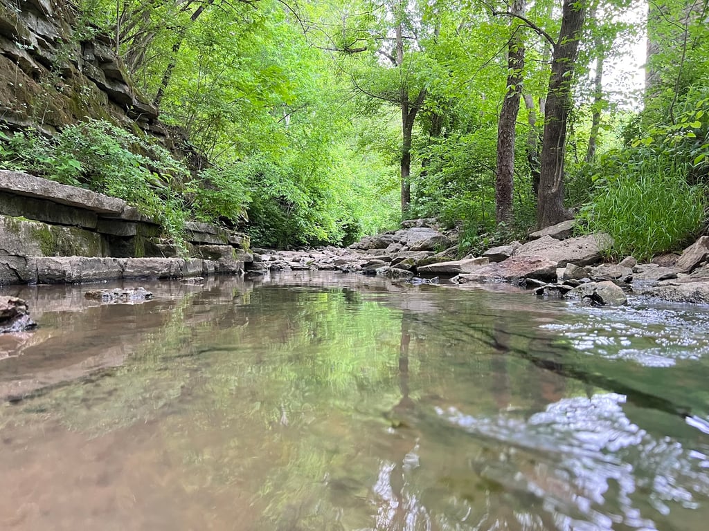 Cove Spring Park