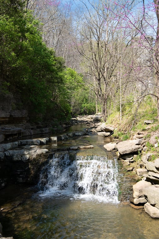 Cove Spring Park