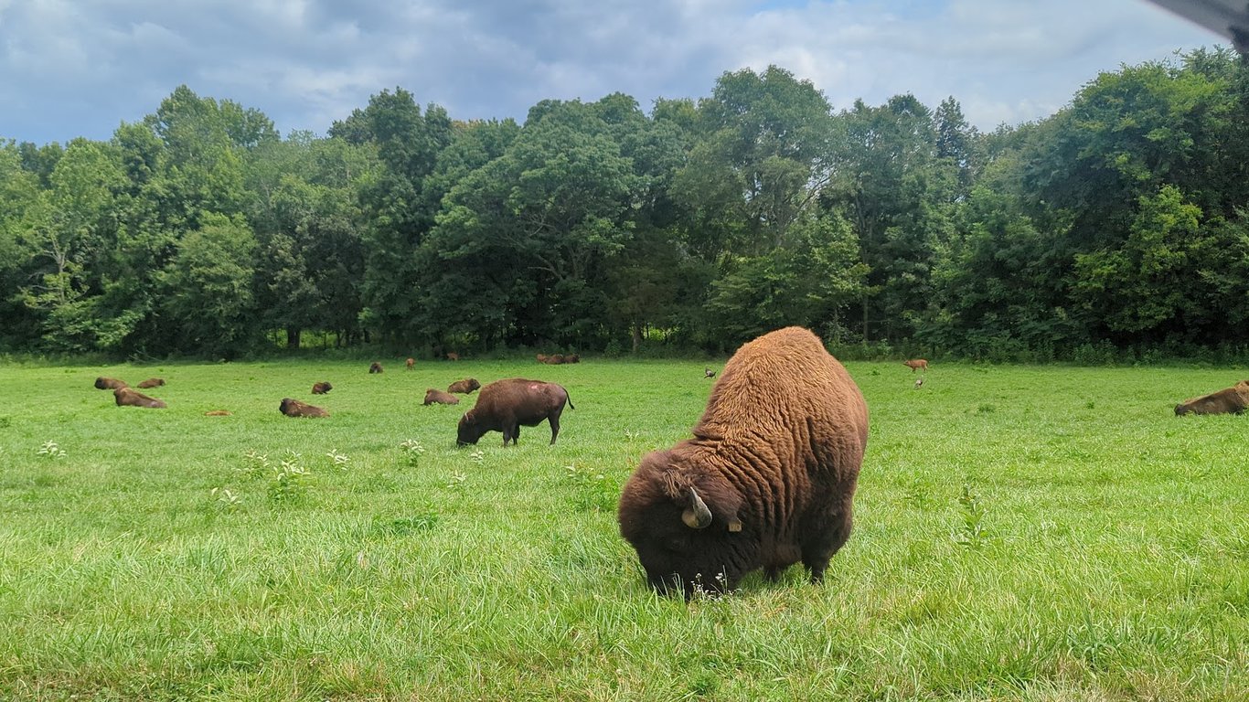 Land Between the Lakes National Recreation Area