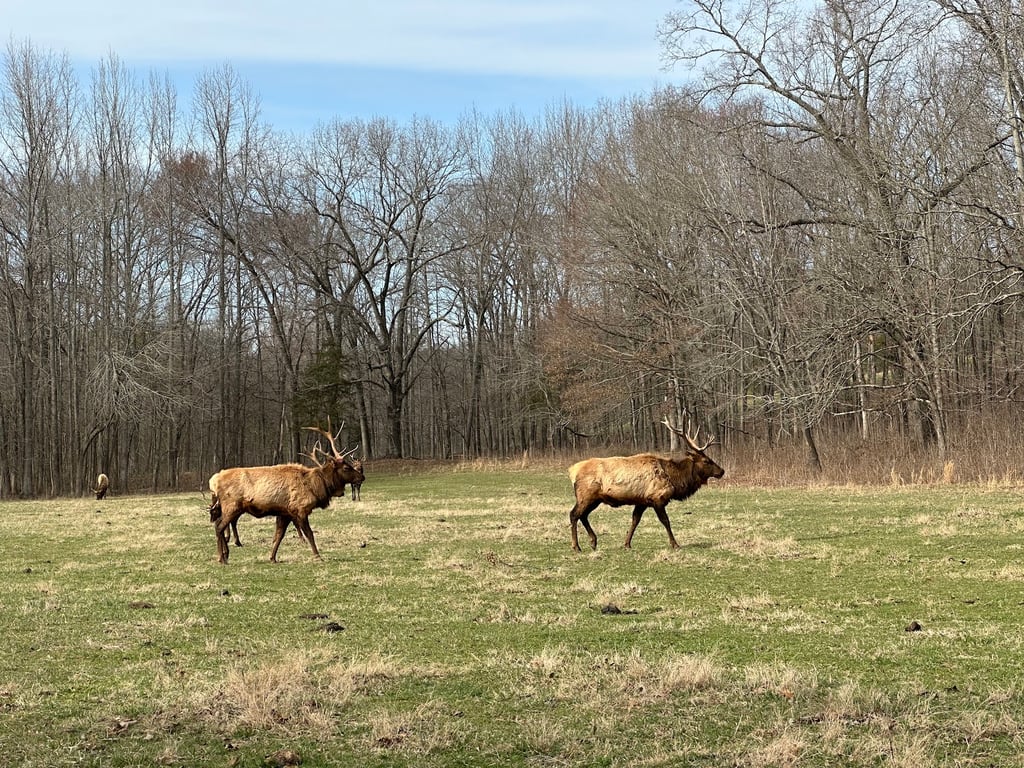 Land Between the Lakes National Recreation Area