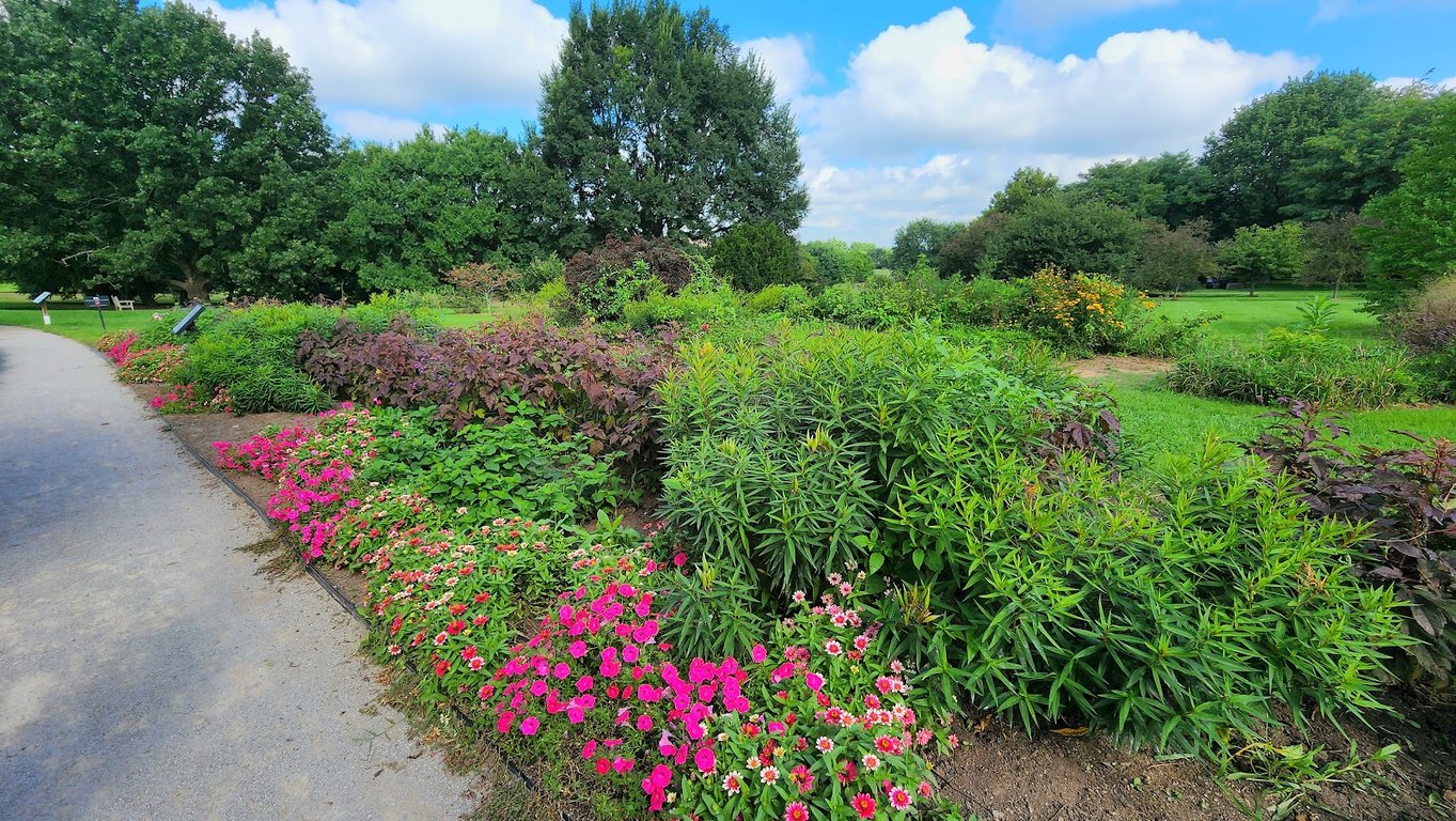 Lexington Arboretum