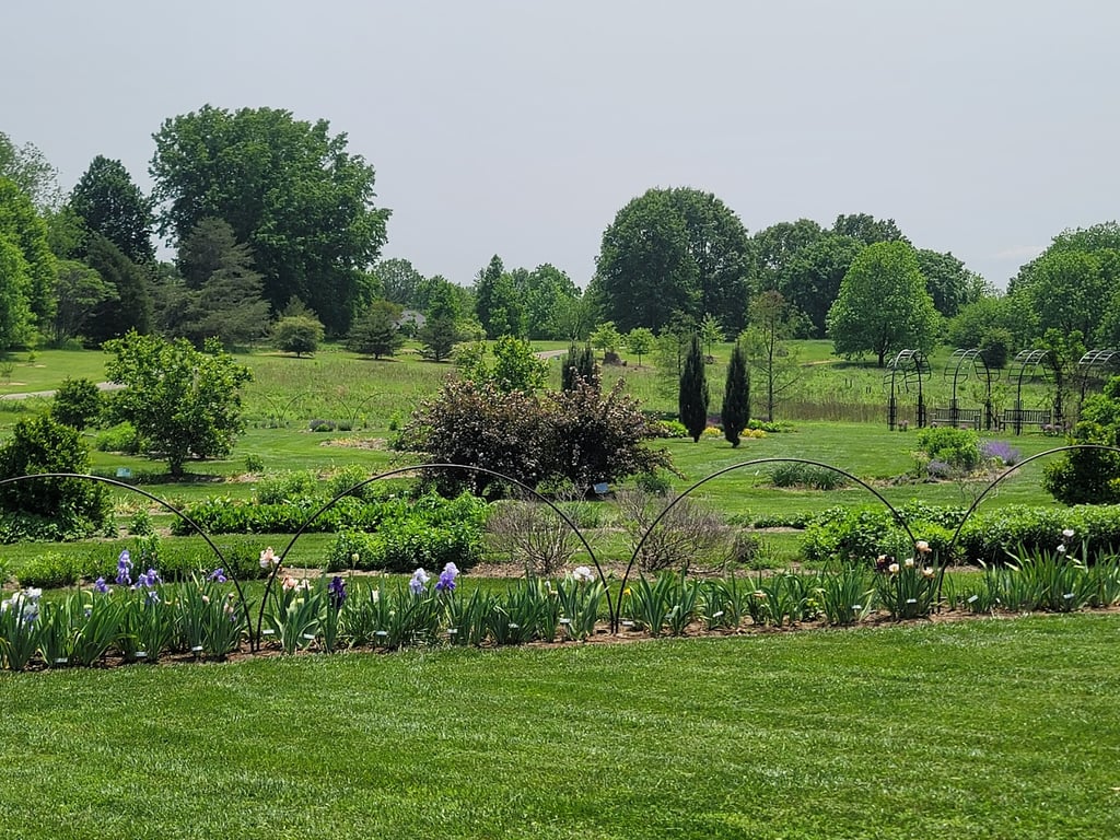 Lexington Arboretum