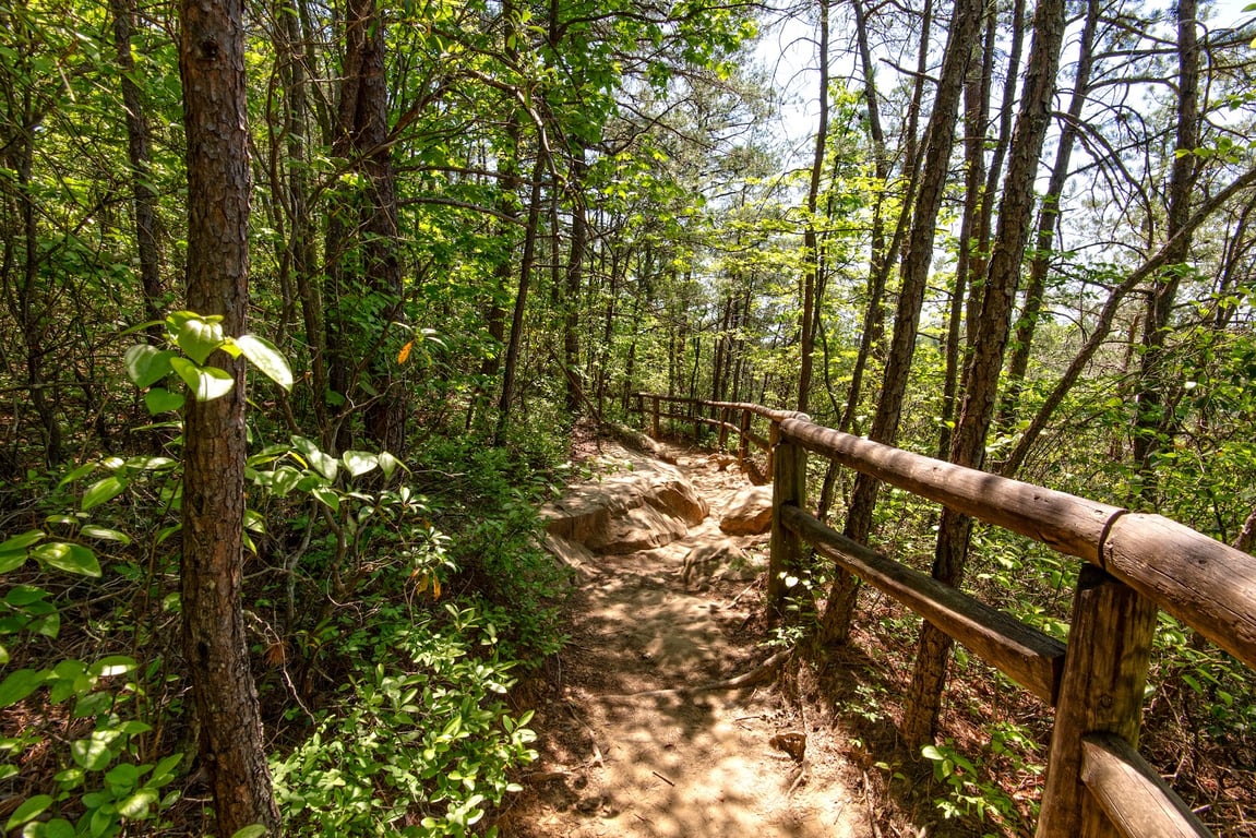 Natural Bridge State Resort Park