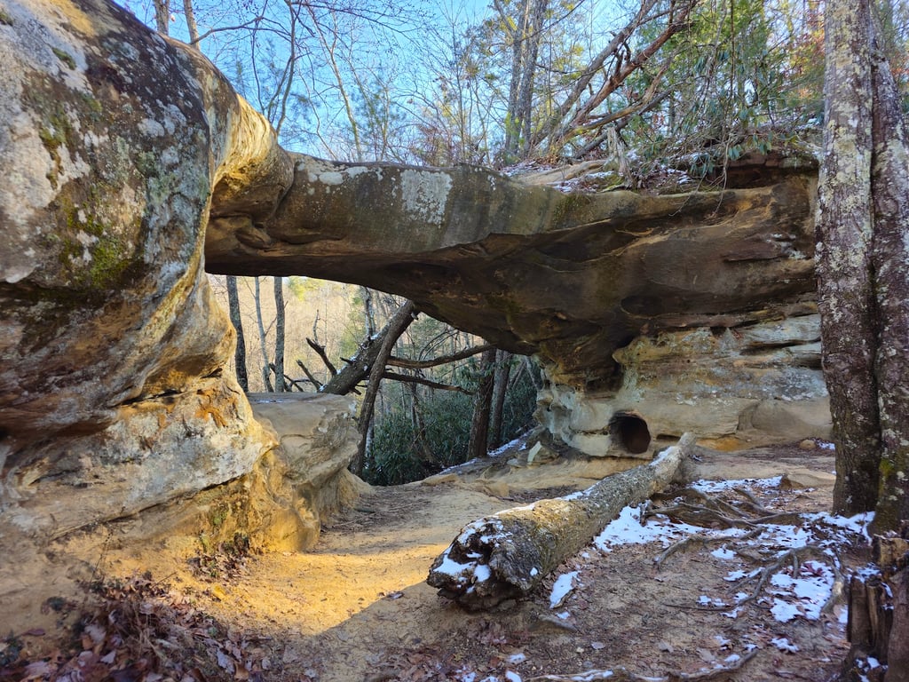 Princess Arch