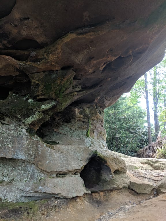 Princess Arch
