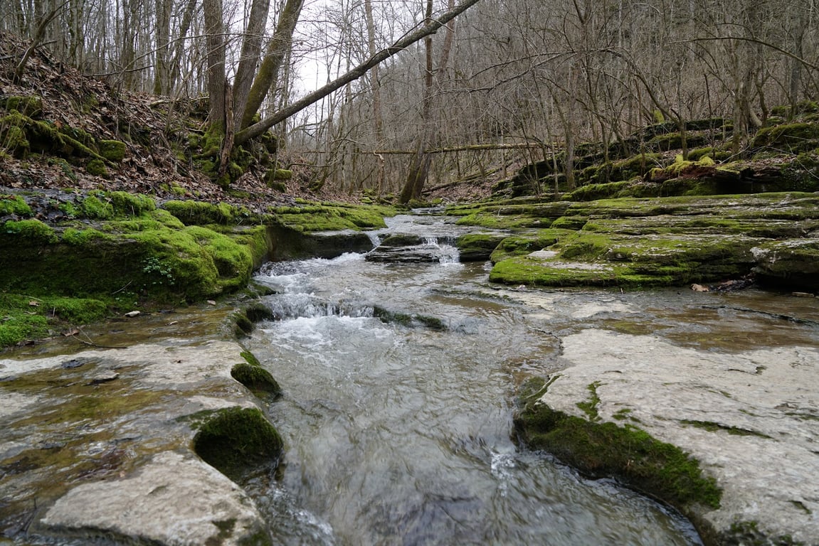 Raven Run Nature Sanctuary