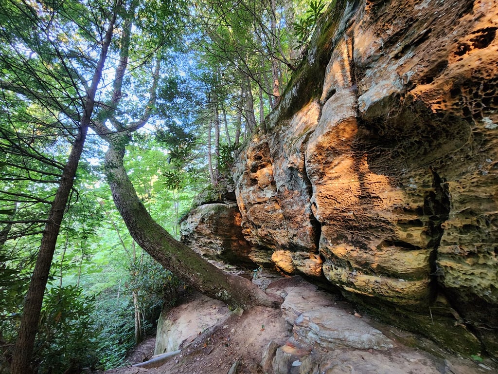 Red River Gorge Geological Area