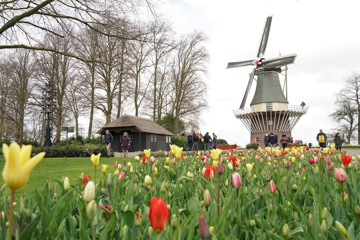 Keukenhof Tulip Gardens