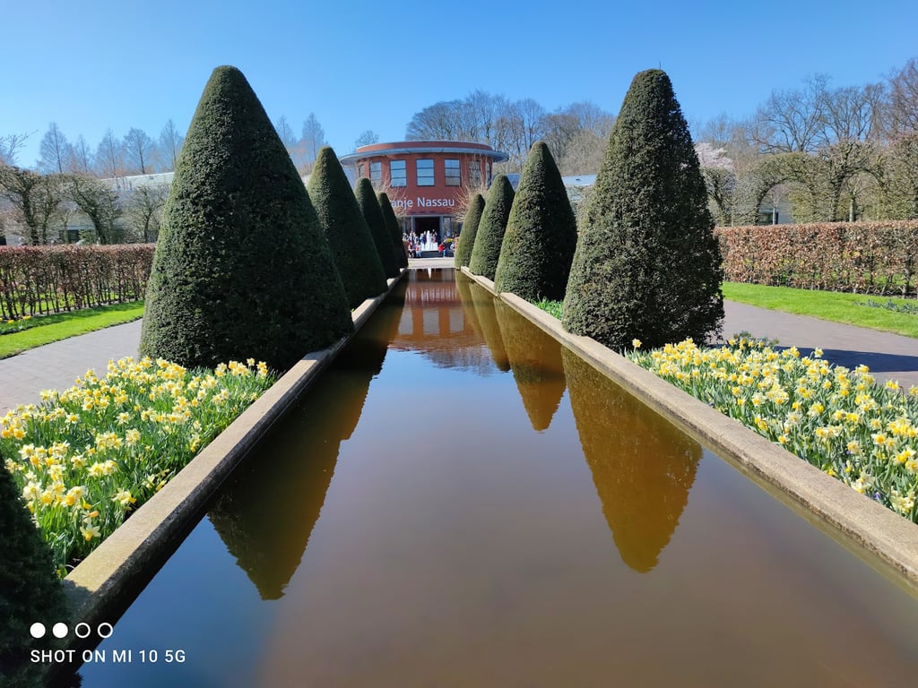 Keukenhof Tulip Gardens