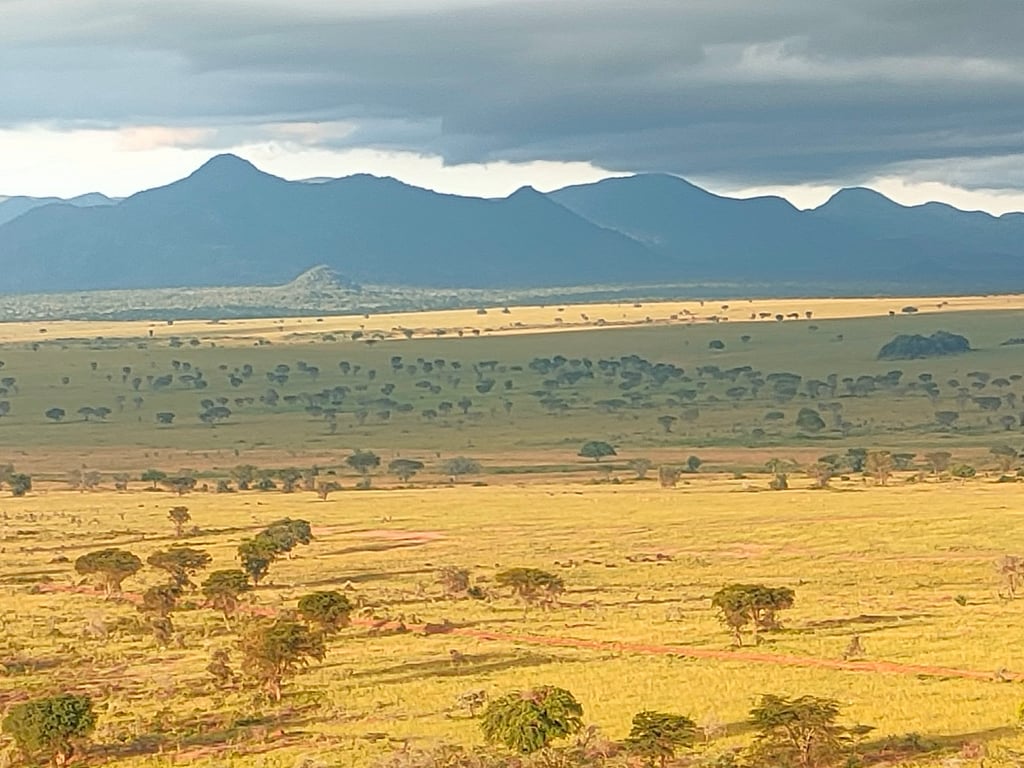 Kidepo Valley National Park