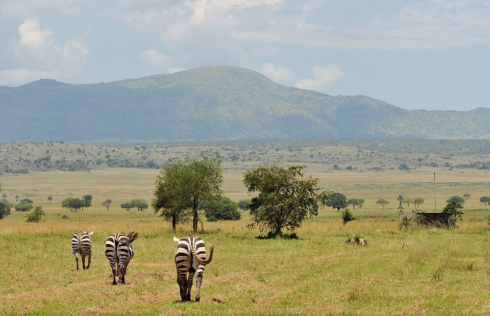 Kidepo Valley National Park