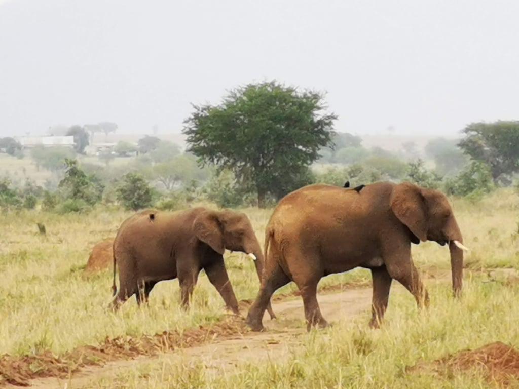Kidepo Valley National Park