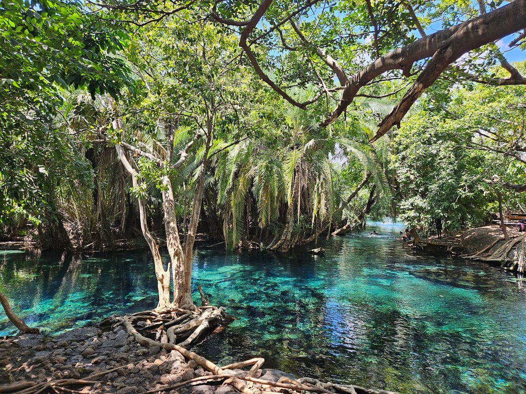 Kikuletwa Hot Springs
