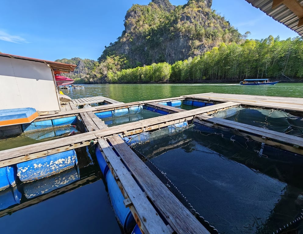 Kilim Geoforest Park