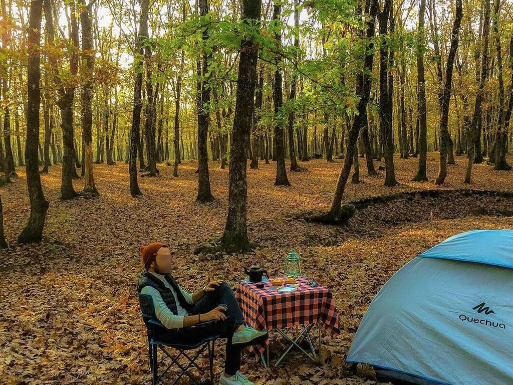 İğneada Longoz Ormanları Milli Parkı