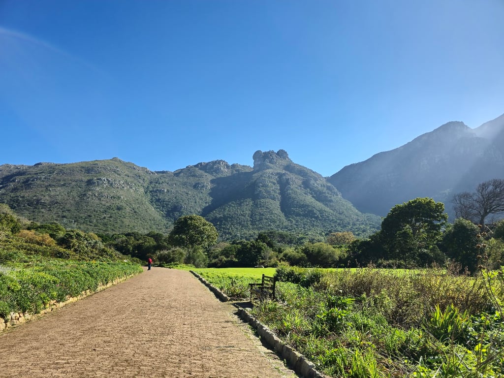 Kirstenbosch Botanical Garden