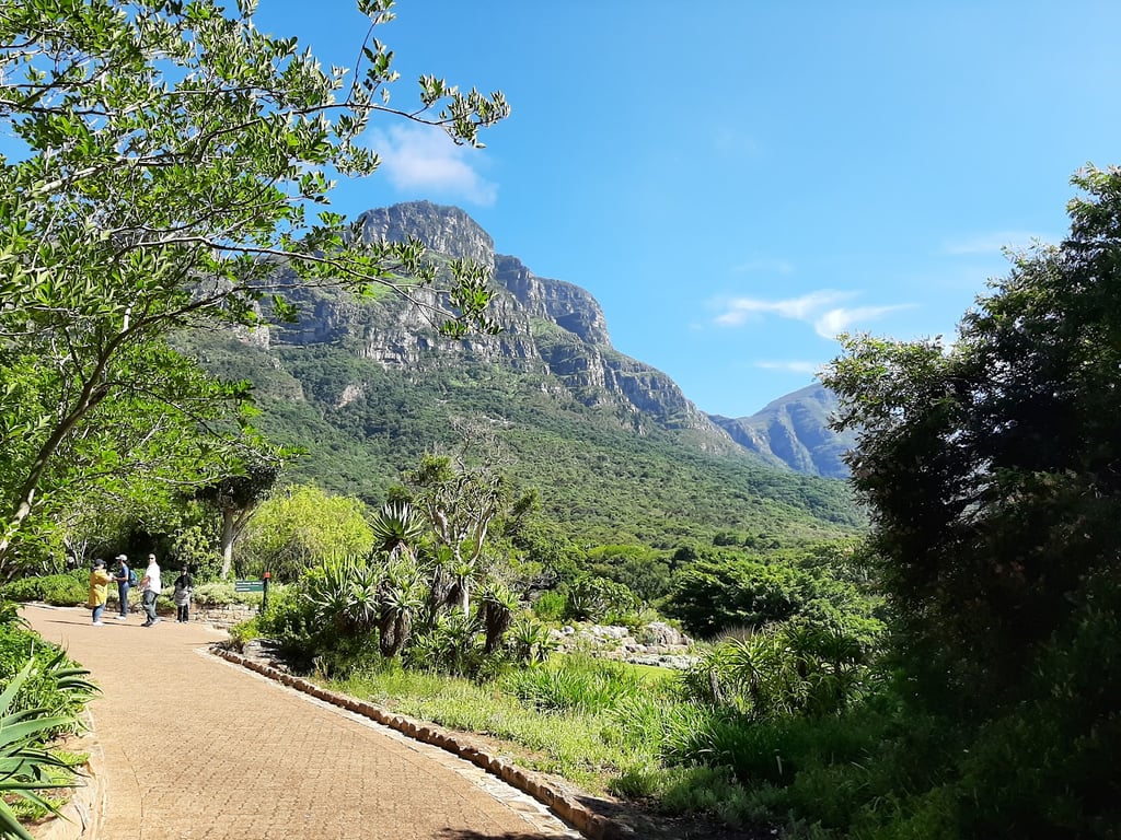 Kirstenbosch Botanical Garden