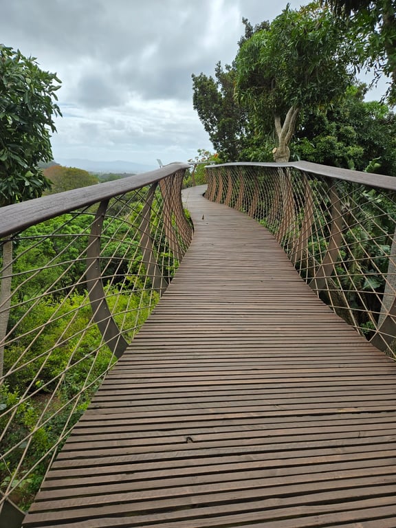 Kirstenbosch Botanical Garden