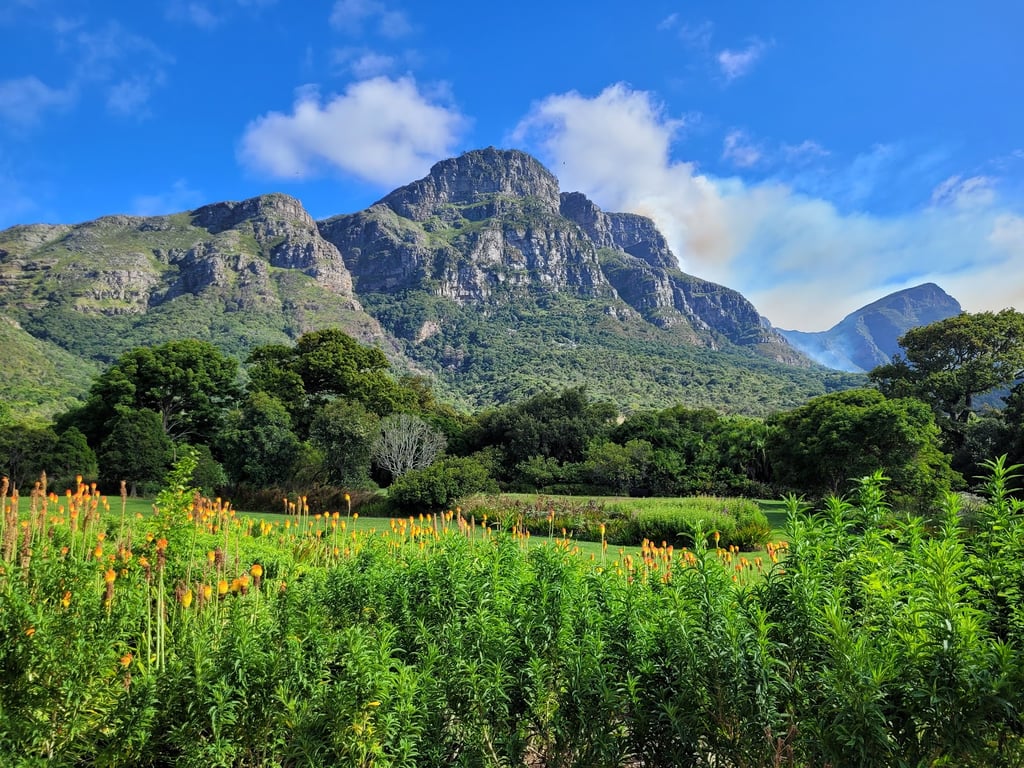 Kirstenbosch Botanical Garden