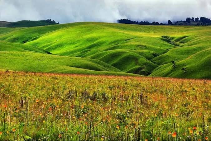 Kitulo National Park
