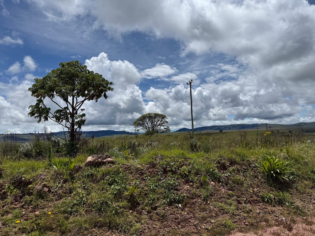 Kitulo National Park
