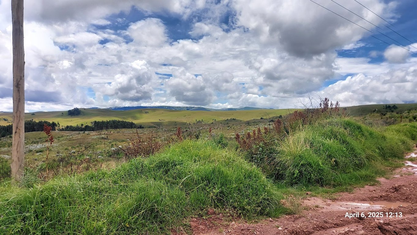 Kitulo National Park