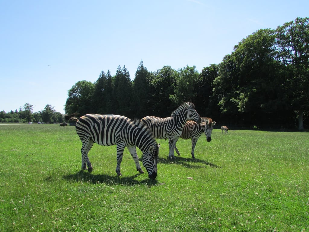 Knuthenborg Safari Park
