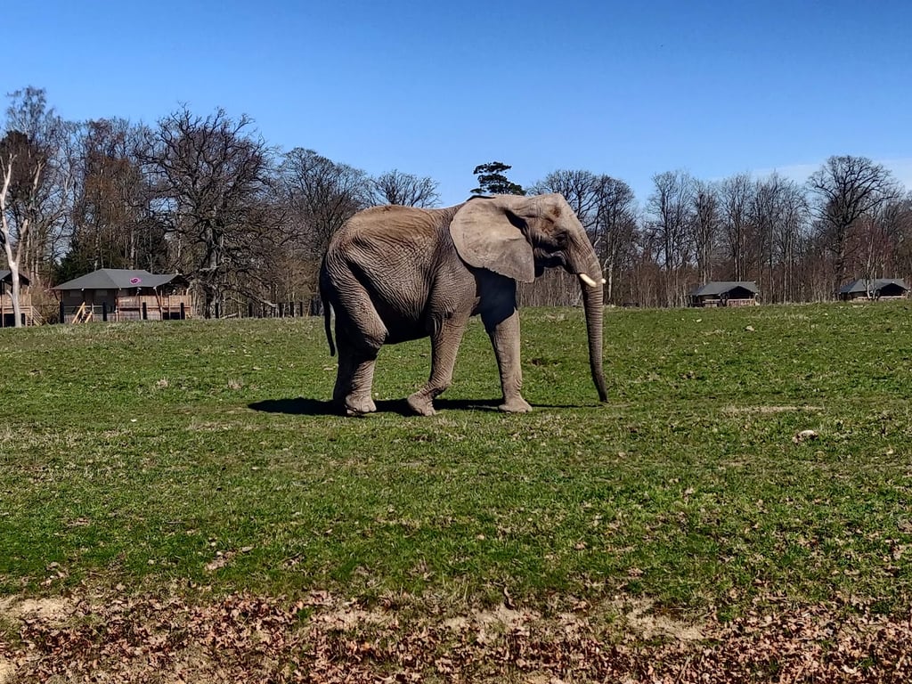 Knuthenborg Safari Park