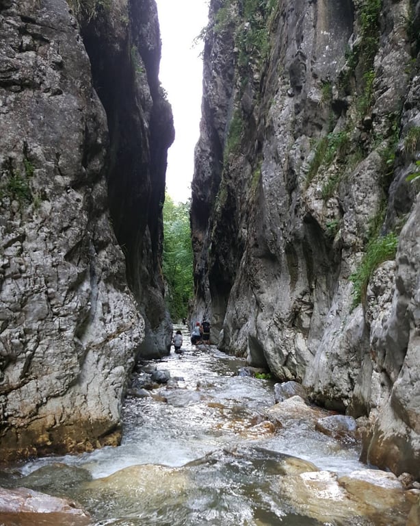 Serindere Kanyonu
