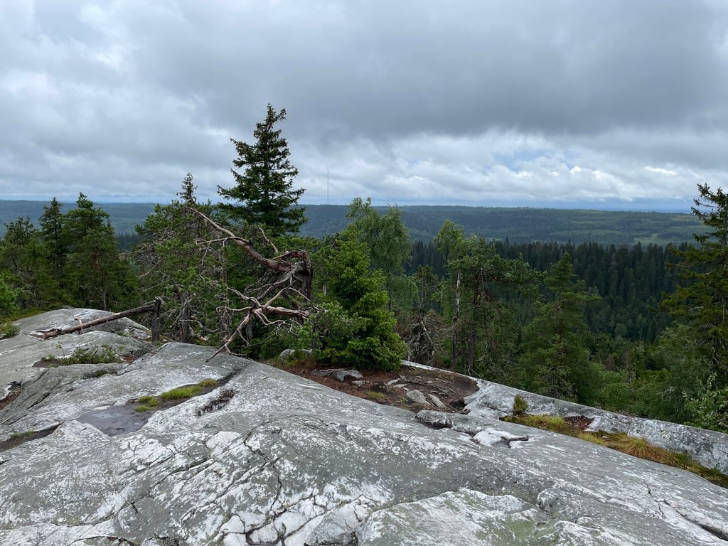 Koli NP
