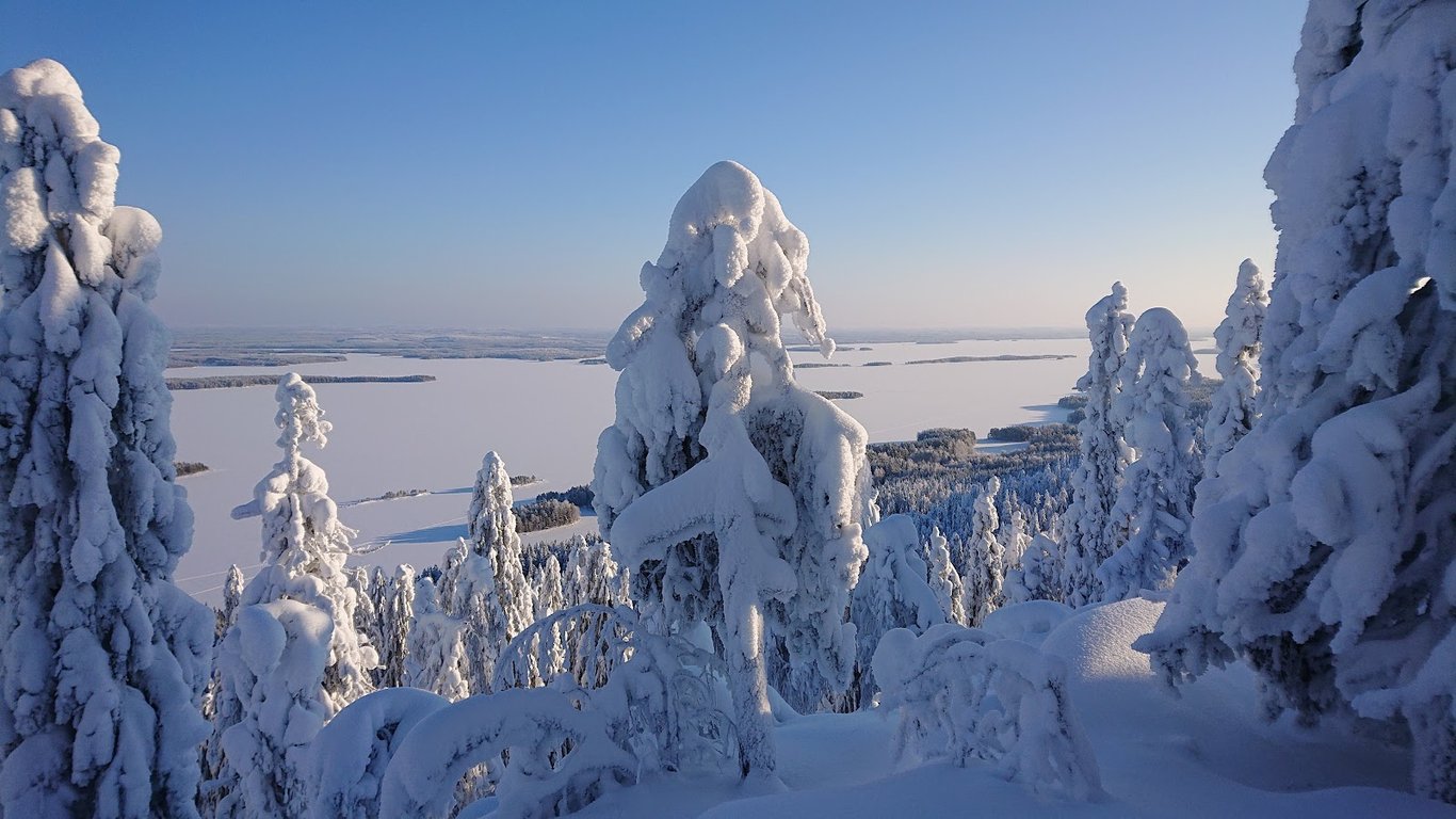 Koli NP