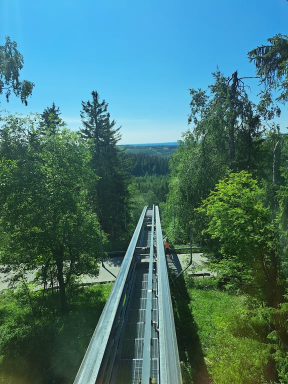 Koli NP