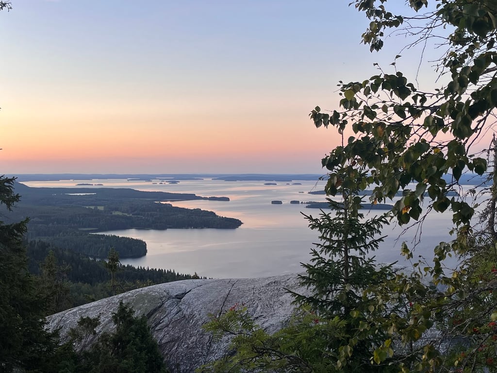 Koli NP
