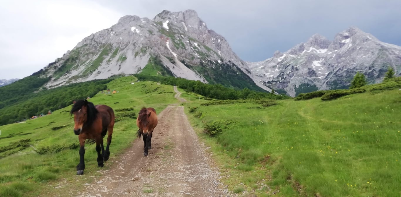 Komovi Mountains