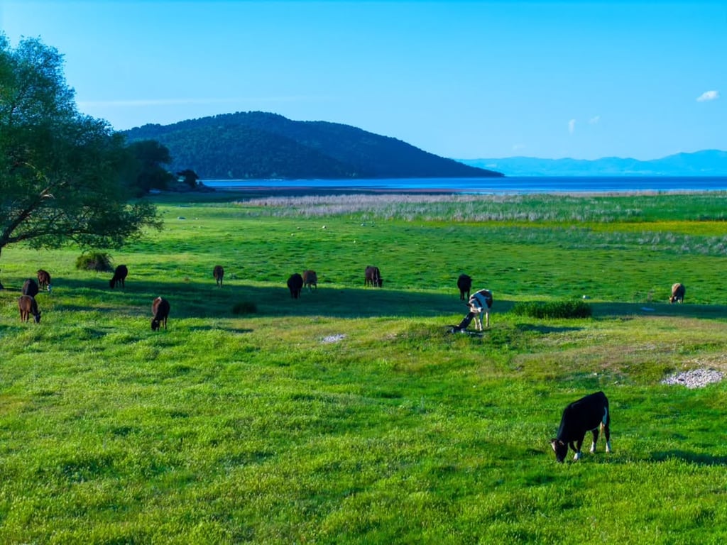 Beyşehir Gölü