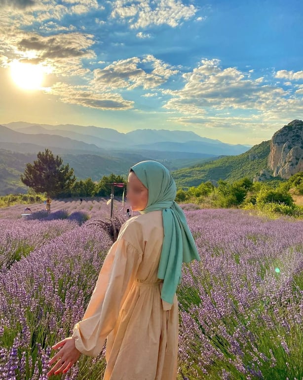 Gencek Lavanta Bahçesi