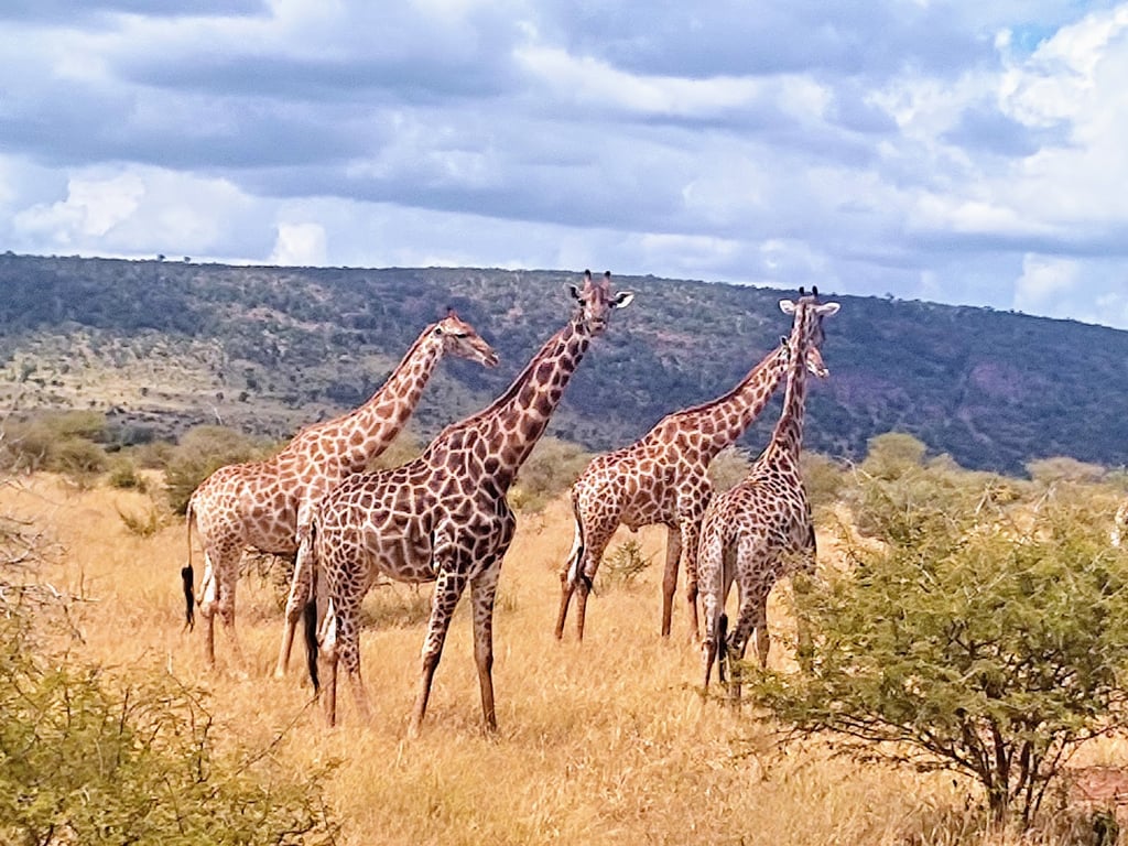 Kruger National Park