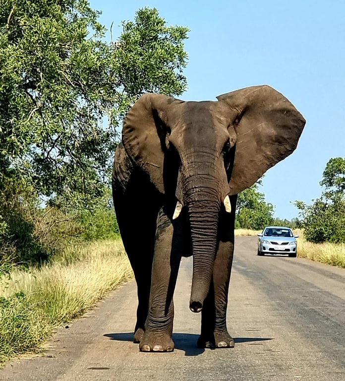 Kruger National Park