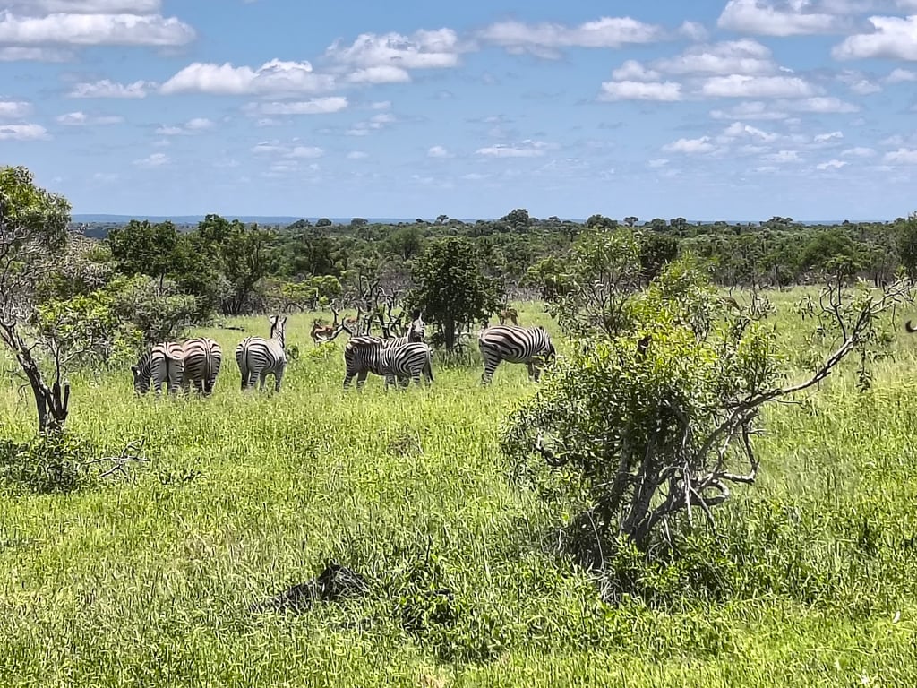 Kruger National Park