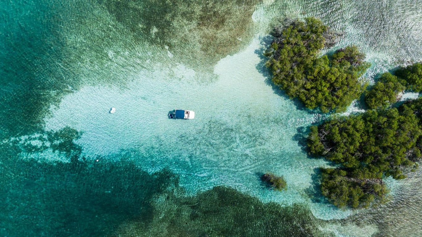 La Parguera Bioluminescent Bay