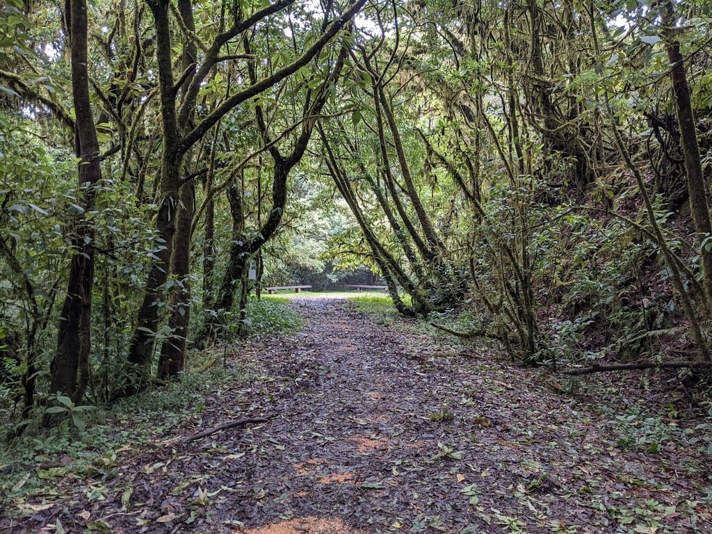 La Tigra National Park