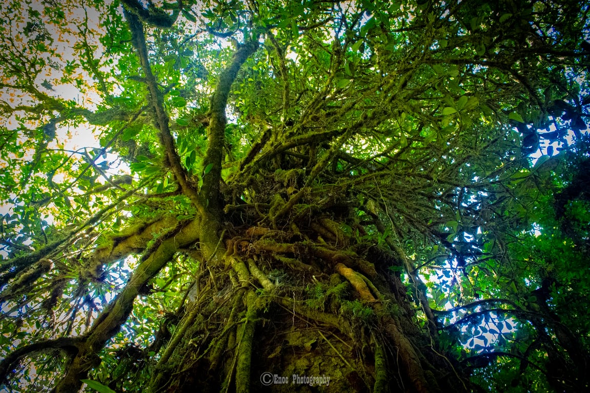 La Tigra National Park