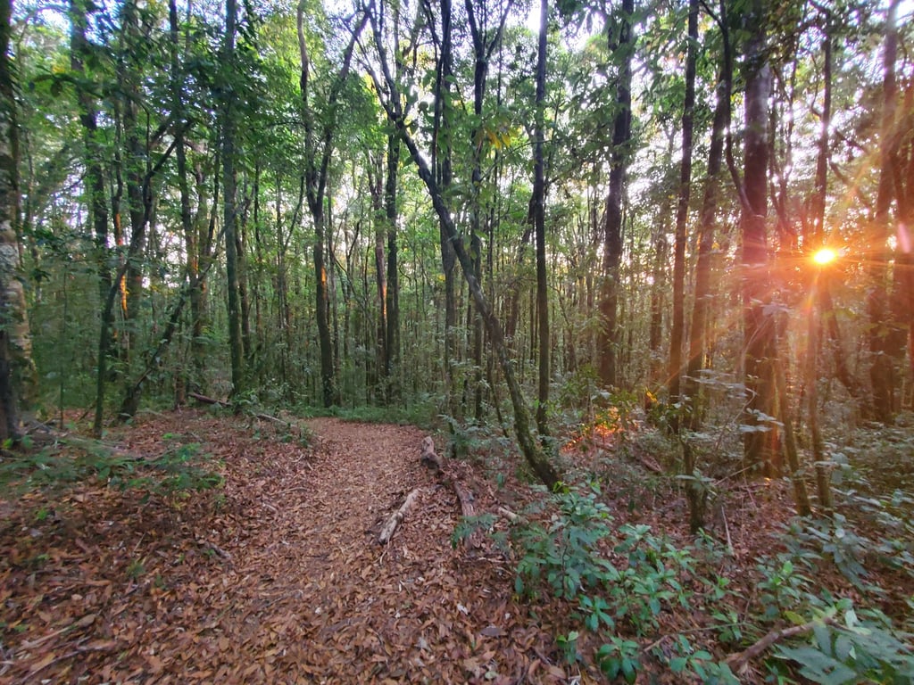 La Tigra National Park